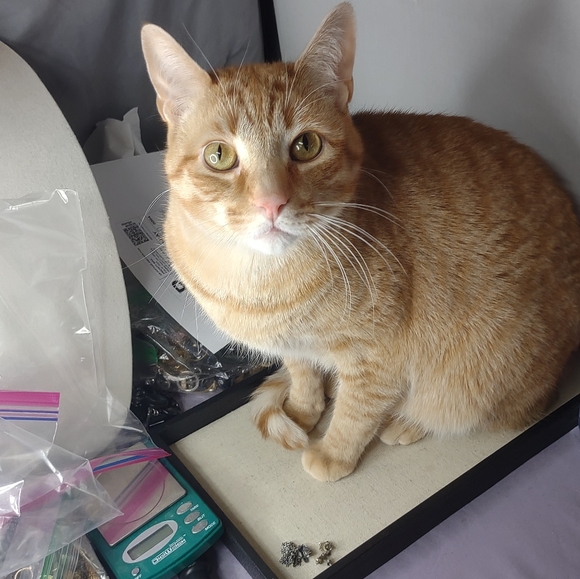 YOU could looks this fabulous too! - Picture 10 of 12